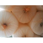 Bubel wrap pelindung produk panjang 50cm di Sidoarjo 5